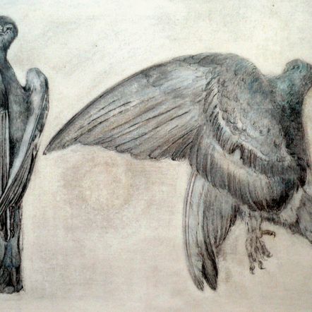 Nr. 170 Clara Ernst - Tote Tauben